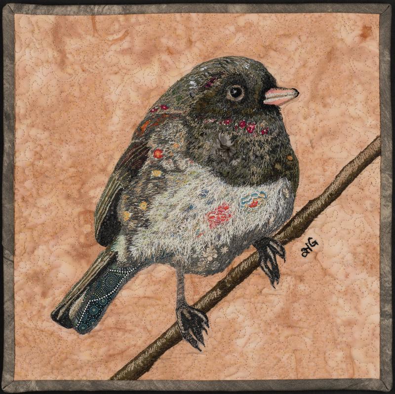 Darker Eyed Little Junco